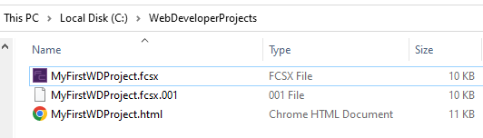 File:Web Developer5.png